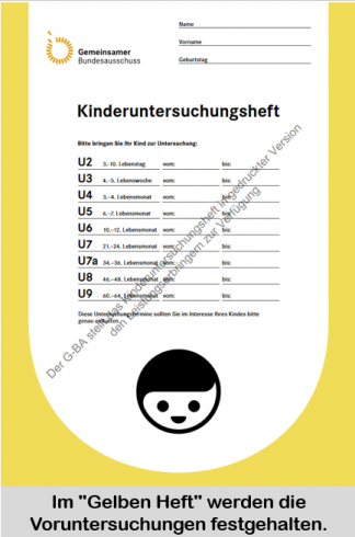 voruntersuchungen heft